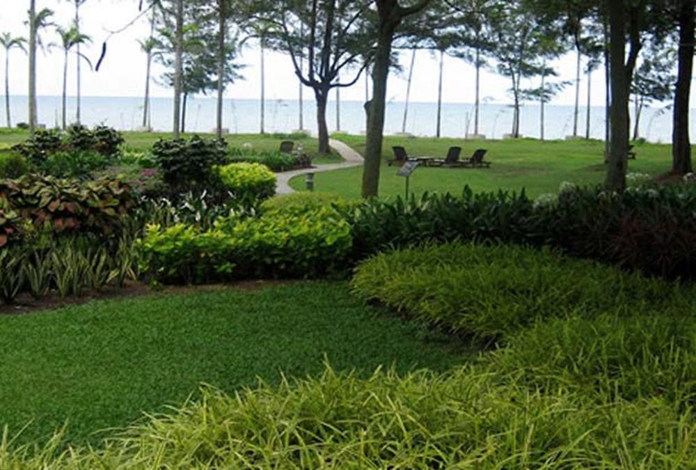 Miri Marriott Resort&Spa Exterior foto View of the lake from the hotel